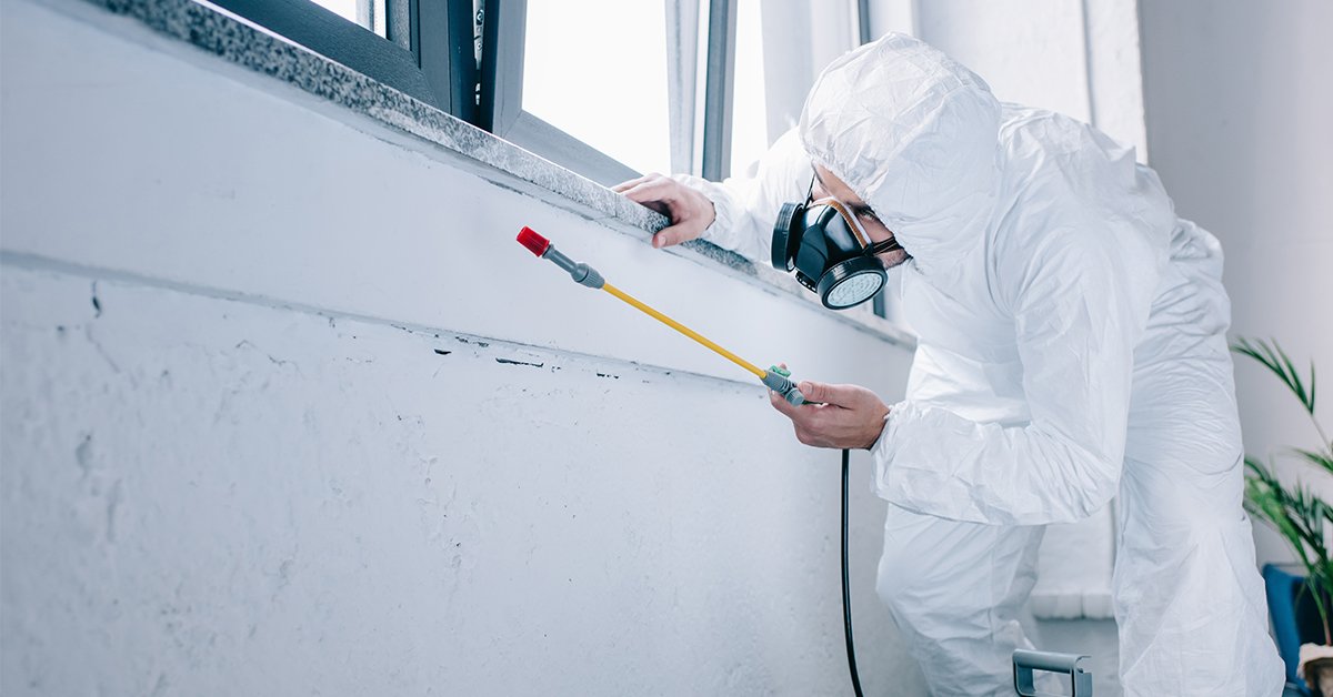 Pest Control in Dubai