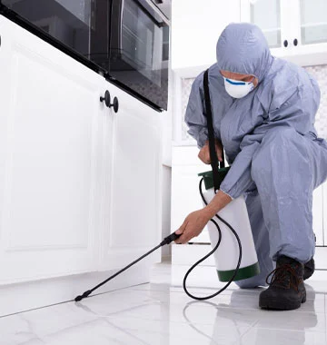 atdoorstep details page child services Disinfection Service