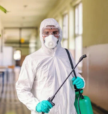 Pest Control in Dubai