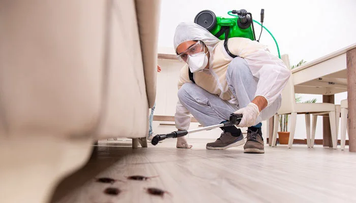 Pest Control services in Sharjah